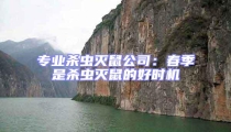 專業殺蟲滅鼠公司:春季是殺蟲滅鼠的好時機