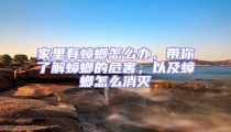 家里有蟑螂怎么辦,帶你了解蟑螂的危害,以及蟑螂怎么消滅