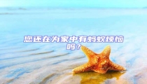 您還在為家中有螞蟻煩惱嗎?