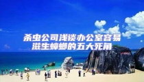殺蟲公司淺談辦公室容易滋生蟑螂的五大死角