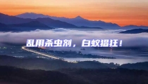 亂用殺蟲劑,白蟻猖狂!