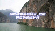 蟑螂的種類與特點_數量最多的蟑螂種類