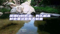 深圳白蟻防治:購買樹木時也要注意有無蟻患