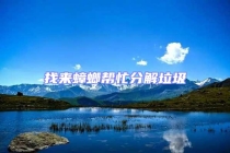 找來(lái)蟑螂幫忙分解垃圾