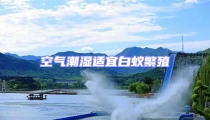 空氣潮濕適宜白蟻繁殖