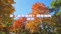 你了解臭蟲嗎?臭蟲如何消滅