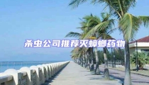 殺蟲公司推薦滅蟑螂藥物