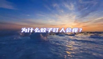 為什么蚊子叮人會癢?