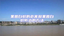 果園白蟻的危害和果園白蟻防治的方法