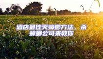 酒店最佳滅蟑螂方法,殺蟑螂公司來教你