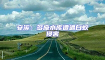 安溪:多座水庫遭遇白蟻侵害