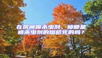 在房間噴殺蟲劑,蟑螂是被殺蟲劑的煙嗆死的嗎?