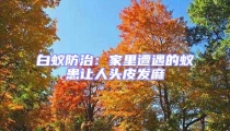 白蟻防治:家里遭遇的蟻患讓人頭皮發麻