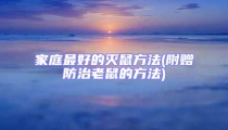 家庭最好的滅鼠方法(附贈防治老鼠的方法)