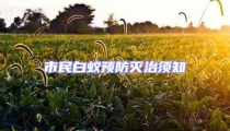 市民白蟻預防滅治須知