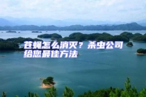 蒼蠅怎么消滅？殺蟲公司給您最佳方法