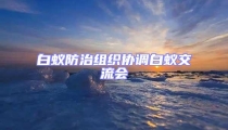 白蟻防治組織協調白蟻交流會