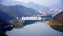 白蟻的防治