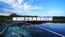 潮濕的衛生間易招白蟻