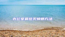 辦公室最佳滅蟑螂方法