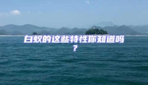 白蟻的這些特性你知道嗎?