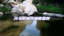 什么時間滅蟑螂最好