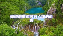 蟑螂攜帶病菌對人體的危害