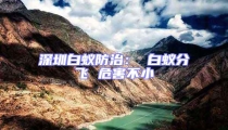 深圳白蟻防治: 白蟻分飛 危害不小