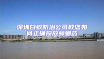 深圳白蟻防治公司教您如何正確投放蟑螂藥