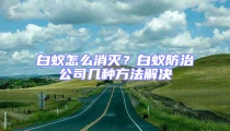白蟻怎么消滅?白蟻防治公司幾種方法解決