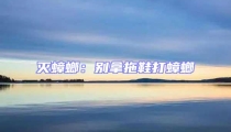 滅蟑螂:別拿拖鞋打蟑螂