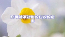 你可能不知道的白蟻的危害