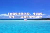 白蟻的社會結(jié)構(gòu)，生活的習性----深圳白蟻防治公司