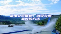 殺蟲公司推薦:消滅衣魚最好的方法