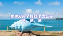 家里發現了白蟻該怎么辦急,急,急