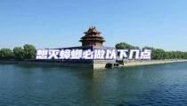 想滅蟑螂必做以下幾點