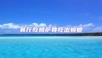 餐廳吃披薩竟吃出蟑螂