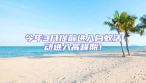 今年3月提前進入白蟻活動進入高峰期!