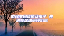 市民家現蟑螂狀蟲子 來源竟是冰箱接水盒