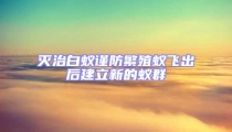 滅治白蟻謹防繁殖蟻飛出后建立新的蟻群