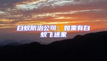 白蟻防治公司:如果有白蟻飛進家