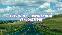 白蟻防治:白蟻的物種簡介與外形特征