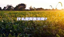 什么是有害生物?