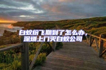 白蟻紛飛期到了怎么辦，深圳上門滅白蟻公司