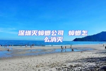 深圳滅蟑螂公司 蟑螂怎么消滅