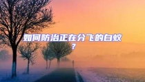 如何防治正在分飛的白蟻？