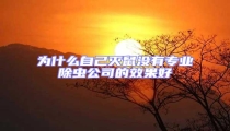 為什么自己滅鼠沒(méi)有專業(yè)除蟲(chóng)公司的效果好