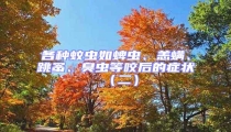 各種蚊蟲如蜱蟲、恙螨、跳蚤、臭蟲等咬后的癥狀(二)