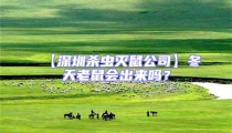 【深圳殺蟲滅鼠公司】冬天老鼠會(huì)出來嗎?