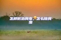 怎樣防治臭蟲，怎么除臭蟲